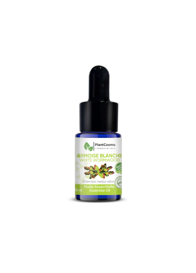White Mugwort essential oil