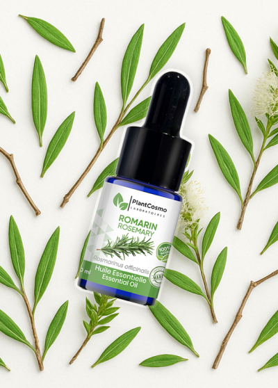 Rosemary essential oil
