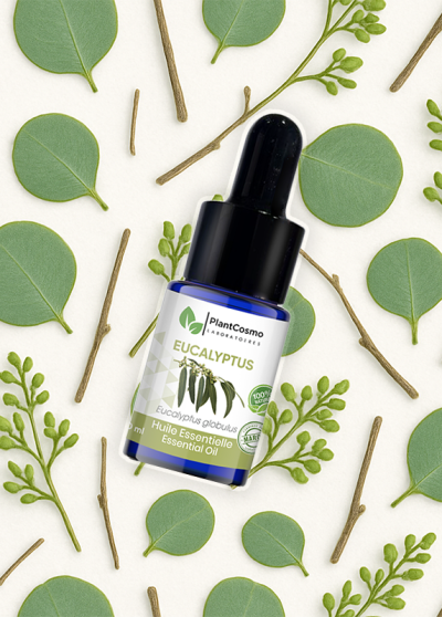 Eucalyptus essential oil