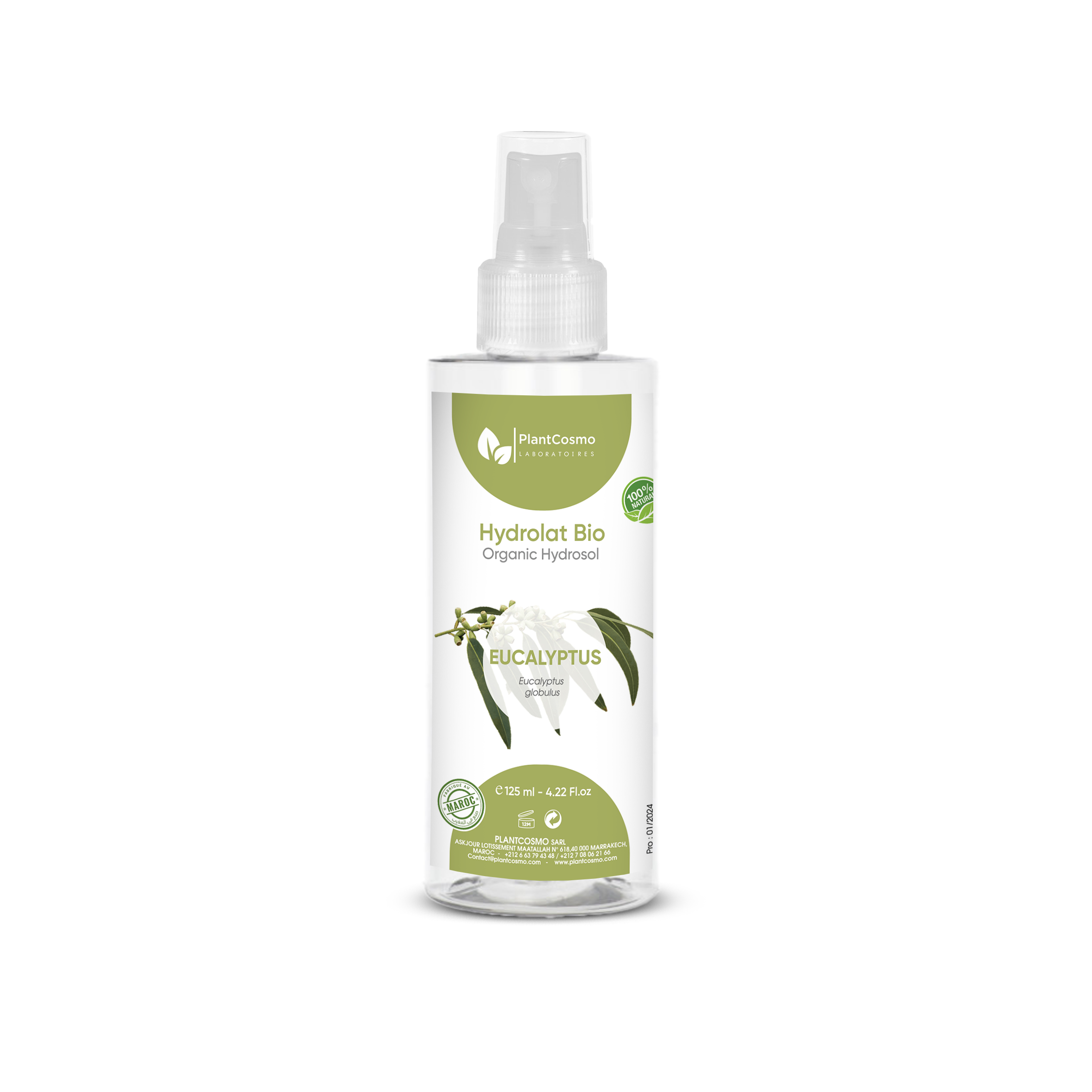 Eucalyptus Hydrosol