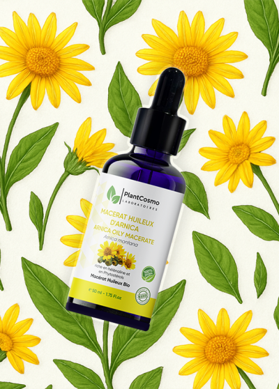 Arnica oil Macerate